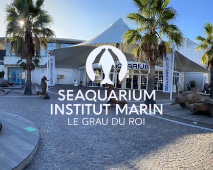 Aquarium Seaquarium Grau Du Roi