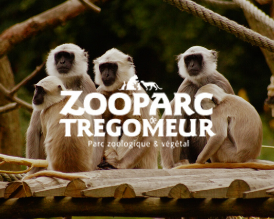 Zoo De Tregomeur